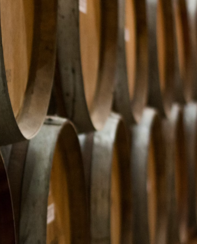 Oaken wine barrels stacked on top of each other in rows